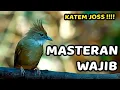 Download Lagu #1🔴 KAPAS TEMBAK GACOR JERNIH PANJANG AMPUH UNTUK MASTERAN SEGALA JENIS BURUNG JERNIH CEPAT MASUK