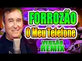 Lagu AMADO BATISTA NO FORRÓ REMIX / MEU TELEFONE / WA PLAY PRODUÇOES