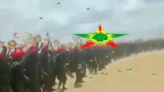 Sirba WBO Kan Araarsoo Solee Kana Itiin Bohara 