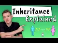 Inheritance Explained How do we inherit features from our parents