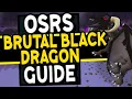 Ultimate Brutal Black Dragons Guide Old School Runescape