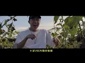 《MV》 光頭幫TomFatKi - 太陽花 Rape That Sun Flower【 Official Music Video 官方完整版  】