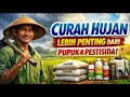 Lagu ‼️CARA HITUNG CURAH HUJAN‼️CURAH HUJAN LEBIH PENTING dari PUPUK dan PESTISIDA‼️BERTANI ANTI GAGAL‼️