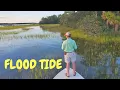 Flood Tide Charleston SC August 17 2020