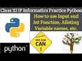 Class 11 IP Python - more on script mode