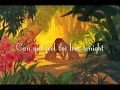 Can you feel the love tonight - Elton John (Lyrics)