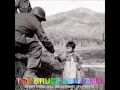 The Bruce Lee Band - Mr. Robinson