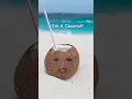 Download Lagu I'm a Coconut #coconut #song #coconutmilk