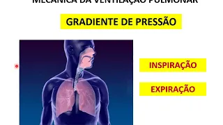 Biofísica da Respiração