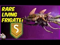 How To Find A Rare S Class Living Frigate No Man s Sky Endurance Update