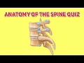 Cervical Thoracic and Lumbar Spine Quiz - Human Anatomy