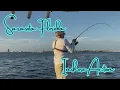 Sarasota Florida Inshore Action