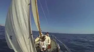 THE BLACK LOTUS | A Day Sail on a 1965 Cheoy Lee “Frisco Flyer”