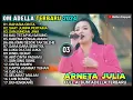 Download Lagu SAAT JUMPA PERTAMA | RAHASIA CINTA   LUKA DI ATAS LUKA | ARNETA JULIA | FULL ALBUM ADELLA TERBARU