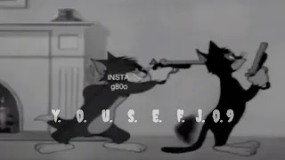 الصحاب الصحاب باعو من غير حساب لما شافو الورقه خضراء  حالات واتس       دندنها