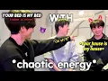 Lagu BTS having chaotic WILD energy lives