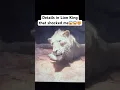 Download Lagu Lion King details that shocked me😱😱😱 #lionking #mufasathelionking #mufasa #scar #disney #shorts