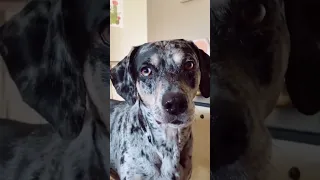 Https Vt Tiktok Com ZSMoV8g82 