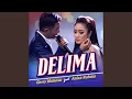 Download Lagu Delima