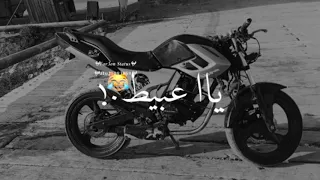 حاله واتس  مهرجان حب ايه يا عبيط دندنها