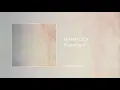 Hammock - Elsewhere (Full Album, Official)