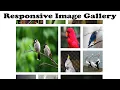 Responsive Image Gallery Responsive Image Gallery Bootstrap Image Gallery Bootstrap Gallery
