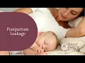 Why Am I Leaking After Baby Postpartum Leakage Explained
