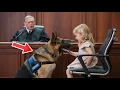 Meisje geeft verborgen signaal aan haar politiehond — de rechter stopt meteen de zitting!