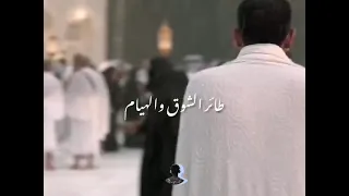 ليتني في سرب الحمام    دندنها