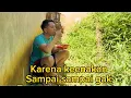 Download Lagu Di suruh anterin ke mertua malah di makan di jalan