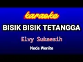 Download Lagu BISIK BISIK TETANGGA-Elvy Sukaesih Karaoke