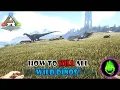 Ark - How To KILL All WILD DINOS On Any Map