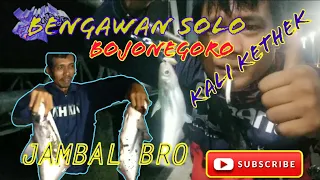 Download mancing jambal,patin,di sungai bengawan solo area bojonegoro MP3