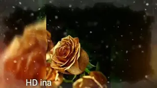 اغنية دهب   مصطفي حجاج دندنها