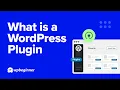 What is a WordPress Plugin