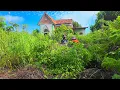 Download Lagu 75-Year-Old CEO Returns After 10 Years… Finds His Parents’ House Turned Into a Jungle