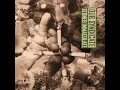 Stoned Immaculate - Dub Syndicate & Akabu