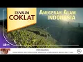 Download Lagu (TRANS 7) Djarum Coklat: Anugerah Alam Indonesia (2014, Revisi 2022)