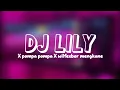 Download Lagu DJ LILY X POMPA POMPA X WILFEBOR MENGKANE BY VinKy YETE