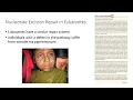 Lecture 9 DNA Damage and Repair Mechanisms Explained