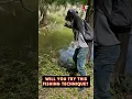Download Lagu IS THIS THE BEST FISHING METHOD? 🎣🔥 You Won’t Believe How Easy It Is! #shorts