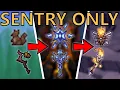 Can I Beat Calamity With Sentries Only