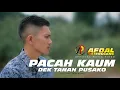 PACAH KAUM DEK TANAH PUSAKO - AFDAL PATENGGANG [ Official Music Video ] Lagu Minang Terbaru