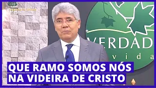QUE RAMO SOMOS NÓS NA VIDEIRA DE CRISTO - Hernandes Dias Lopes