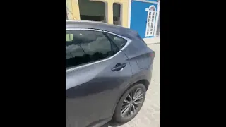                     دندنها