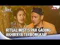 Download Lagu Dani Bongkar Ritual Siluman Kelabang Pak Gading | Aini Malaikat Tak Bersayap Eps 176 (4/5)