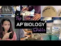What skills do I need to be successful in AP Biology TOP 10 Skills for AP Bio students