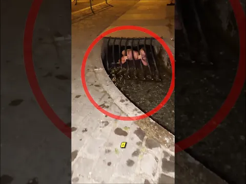 Si encuentras a este chico atrapado ¡ayúdalo inmediatamente!😱