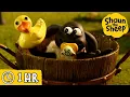Shaun the Sheep 🐑 Timmy's Bath Time \u0026 MORE 🧼 Full Episodes Compilation