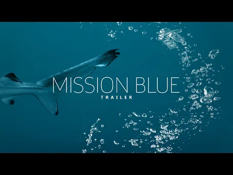 Video Thumbnail: Das Ergebnis von #haibockangriff - Mission Blue Trailer